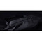 Фото - Поясная сумка Xiaomi Sports Fanny Pack Black | click.ua