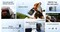 Фото - Зарядная станция EcoFlow TRAIL 300 DC (EF-TRAIL300-N) | click.ua
