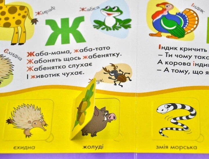 Загляни в окошко. Алфавит для малышей / Анна Чубач