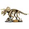 Фото - Конструктор LEGO Jurassic World Окаменелости динозавров: трицератопс (77985) | click.ua