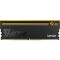 Фото - Модуль памяти DDR5 16GB/6000 Lexar Thor RGB Black (LD5U16G60C36BV-RGS) | click.ua