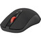 Фото - Миша бездротова Defender Nexus MS-195 Black (52195) | click.ua