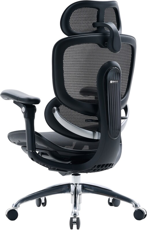 Крісло офісне Sihoo Doro C300 PRO V2 Black (C300-PRO-V2-B101)
