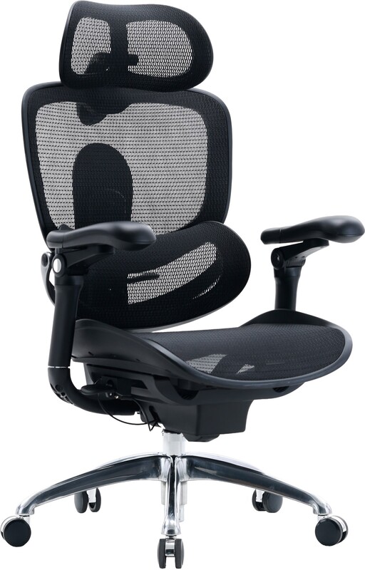 Крісло офісне Sihoo Doro C300 PRO V2 Black (C300-PRO-V2-B101)