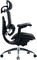 Фото - Крісло офісне Sihoo Doro C300 PRO V2 Black (C300-PRO-V2-B101) | click.ua