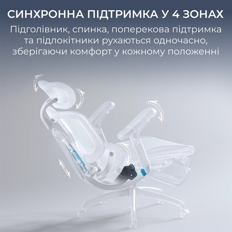 Крісло офісне Sihoo Doro C300 PRO V2 Black з підставкою для ніг (C300-PRO-V2-B101-JT)