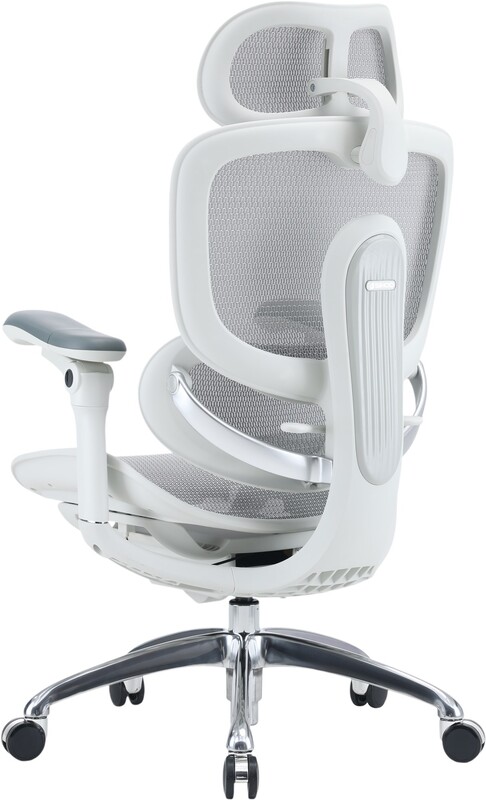 Крісло офісне Sihoo Doro C300 PRO V2 White (C300-PRO-V2-B102)