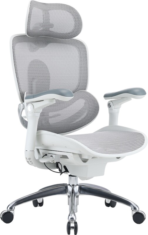 Крісло офісне Sihoo Doro C300 PRO V2 White (C300-PRO-V2-B102)