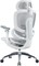 Фото - Крісло офісне Sihoo Doro C300 PRO V2 White (C300-PRO-V2-B102) | click.ua