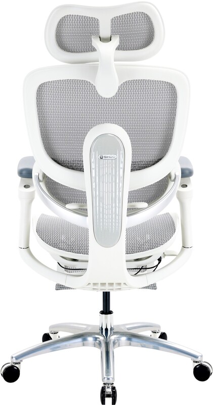 Крісло офісне Sihoo Doro C300 Lite V2 White з підставкою для ніг (C300-LITE-V2-B102-JT)