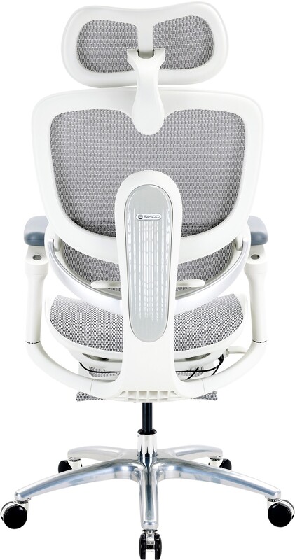 Крісло офісне Sihoo Doro C300 Lite V2 White (C300-LITE-V2-B102)