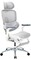 Фото - Крісло офісне Sihoo Doro C300 Lite V2 White (C300-LITE-V2-B102) | click.ua