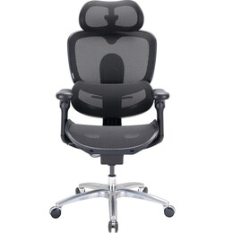 Кресло офисное Sihoo Doro C300 Lite V2 Black (C300-LITE-V2-B101)