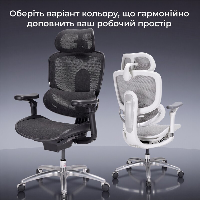 Крісло офісне Sihoo Doro C300 Lite V2 Black (C300-LITE-V2-B101)