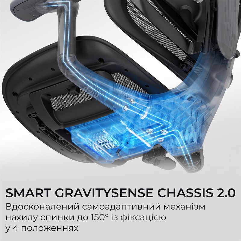 Крісло офісне Sihoo Doro C300 Lite V2 Black (C300-LITE-V2-B101)