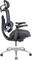 Фото - Крісло офісне Sihoo Doro C300 Lite V2 Black (C300-LITE-V2-B101) | click.ua