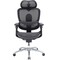 Фото - Крісло офісне Sihoo Doro C300 Lite V2 Black (C300-LITE-V2-B101) | click.ua