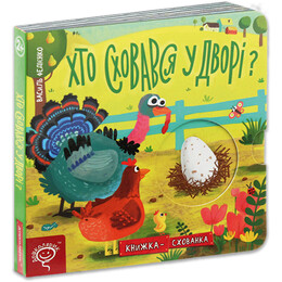 Книга-тайник. Кто скрылся во дворе? / Василий Федиенко