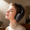 Фото - Bluetooth-гарнитура Acefast H13 Black (6974316285878) | click.ua