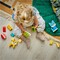 Фото - Конструктор LEGO Duplo My First Очаровательные творческие домашние любимцы 3 в 1 (10477) | click.ua