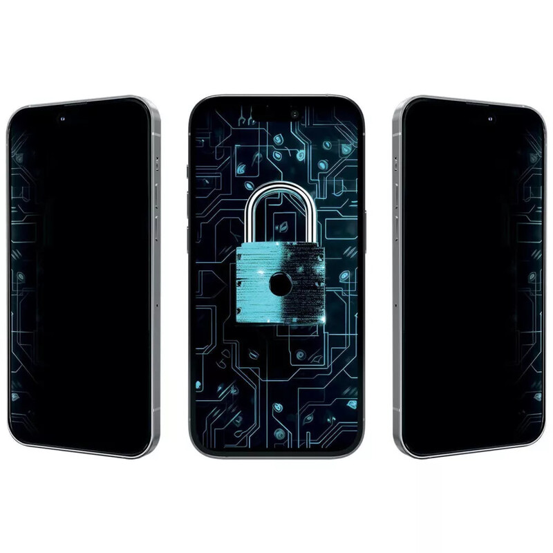 Защитное стекло Proove Privacy для iPhone 14 Pro/15/16 Black (PGPPRI14P001)