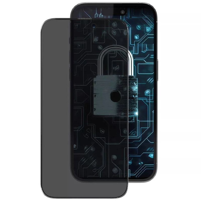 Защитное стекло Proove Privacy для iPhone Xs Max/11 Pro Max Black (PGPPRI11PM01)