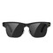 Фото - Смарт-очки Blackview BV200 AI Sunglasses Black (6931548328322) | click.ua