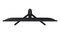 Фото - Монiтор Samsung 24" S24HG310 (LS24HG310EIXUA) IPS Black 144Hz | click.ua