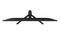 Фото - Монiтор Samsung 27" S27HG310 (LS27HG310EIXUA) IPS Black 144Hz | click.ua