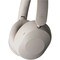 Фото - Bluetooth-гарнитура Final Audio UX1000 Greige (90404210) | click.ua