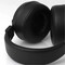 Фото - Наушники Final Audio DX3000 CL Black (90404208) | click.ua