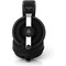 Фото - Наушники Final Audio DX3000 CL Black (90404208) | click.ua