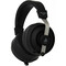 Фото - Наушники Final Audio DX3000 CL Black (90404208) | click.ua