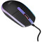 Фото - Мышь AOC GM150B Black | click.ua