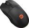 Фото - Мышь беспроводная Canyon Cutlass Wireless USB Black (CND-SGMW11B) | click.ua
