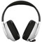 Фото - Гарнитура Canyon Ego GH-16 White (CND-SGHS16W) | click.ua