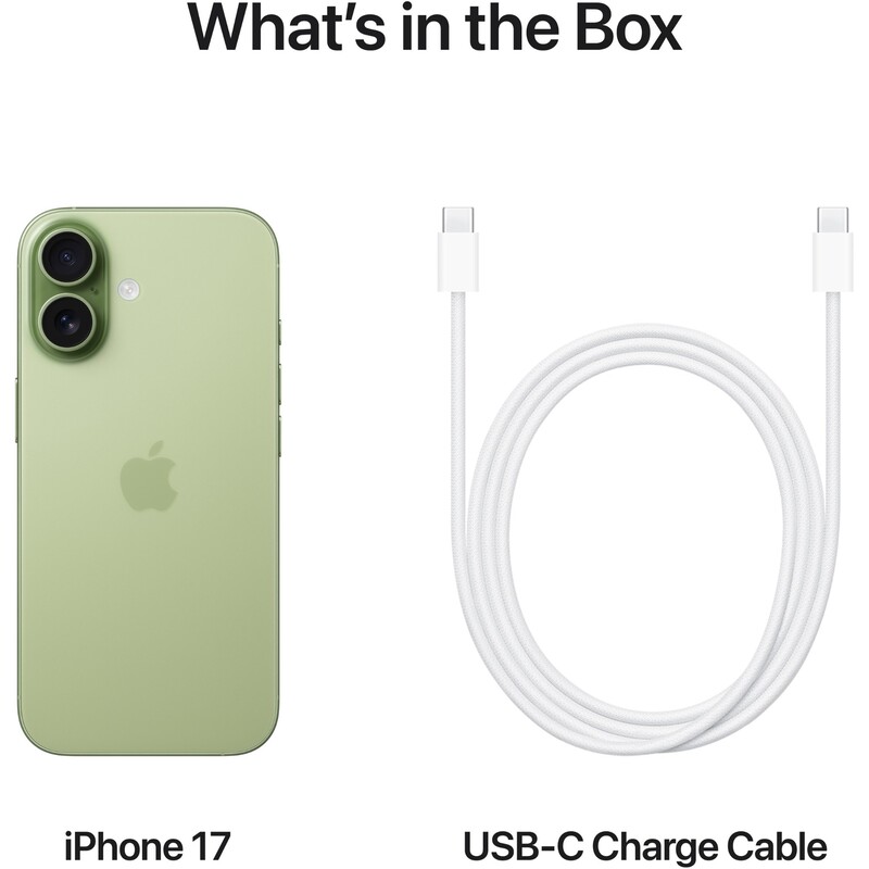 Смартфон Apple iPhone 17 512GB Sage (MG6V4AF/A)