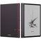 Фото - Электронная книга BOOX Note Air 6 C | click.ua