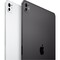 Фото - Планшет Apple iPad Pro 13 WiFi 256GB Space Black (MDYJ4TY/A) | click.ua