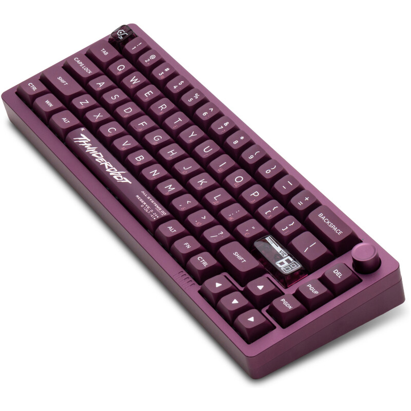 Клавiатура Thunderobot VIC68 Gateron Magnetic Jade Switch USB UA Purple (6932066317201)