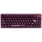 Фото - Клавiатура Thunderobot VIC68 Gateron Magnetic Jade Switch USB UA Purple (6932066317201) | click.ua