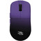 Фото - Мышь беспроводная Proove Gaming Taipan Max Black/Purple (WMTPM0022016) | click.ua