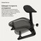 Фото - Підставка для ніг LiberNovo StepSync Footrest Graphite for Omni Pro (CP-GW-0000079-00-05) | click.ua