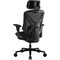 Фото - Крісло для геймерів Cougar Speeder Neo Black | click.ua