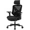 Фото - Крісло для геймерів Cougar Speeder Neo Black | click.ua