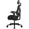 Фото - Крісло для геймерів Cougar Speeder Neo Black | click.ua