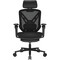 Фото - Крісло для геймерів Cougar Speeder Neo Black | click.ua