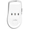 Фото - Мышь беспроводная Thunderobot Tri-Mode wireless Mouse (NL6 LE) | click.ua