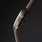 Фото - Смарт-часы Proove Moment Titanium (SMPR00002217) | click.ua