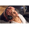 Фото - Bluetooth-гарнітура Anker SoundCore Q31i Black (D1404G11) | click.ua